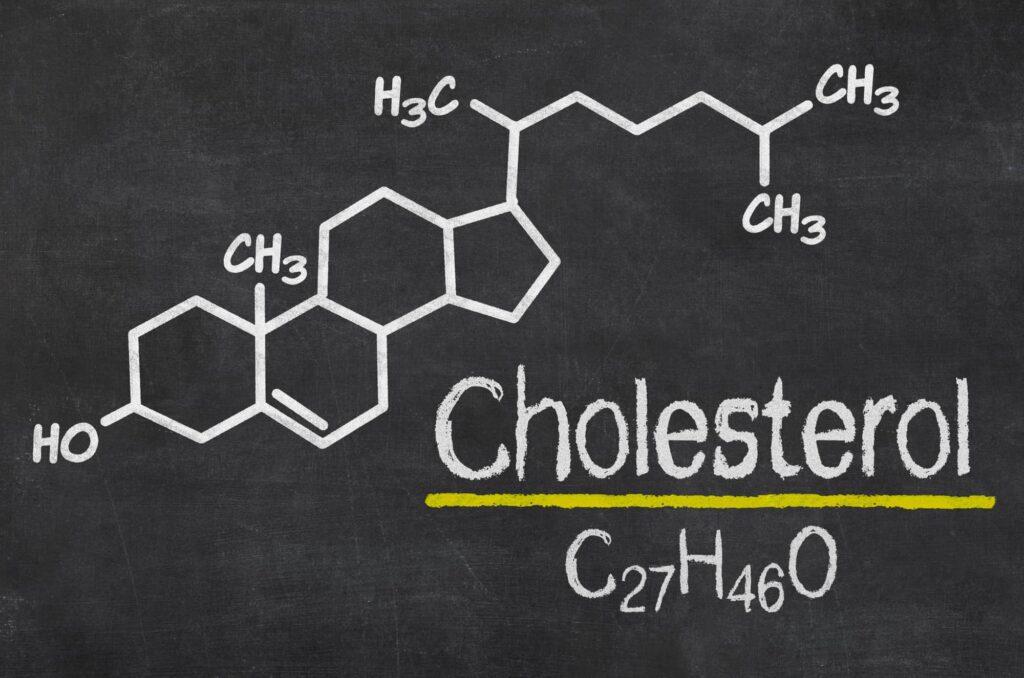 cholesterol