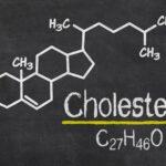 cholesterol