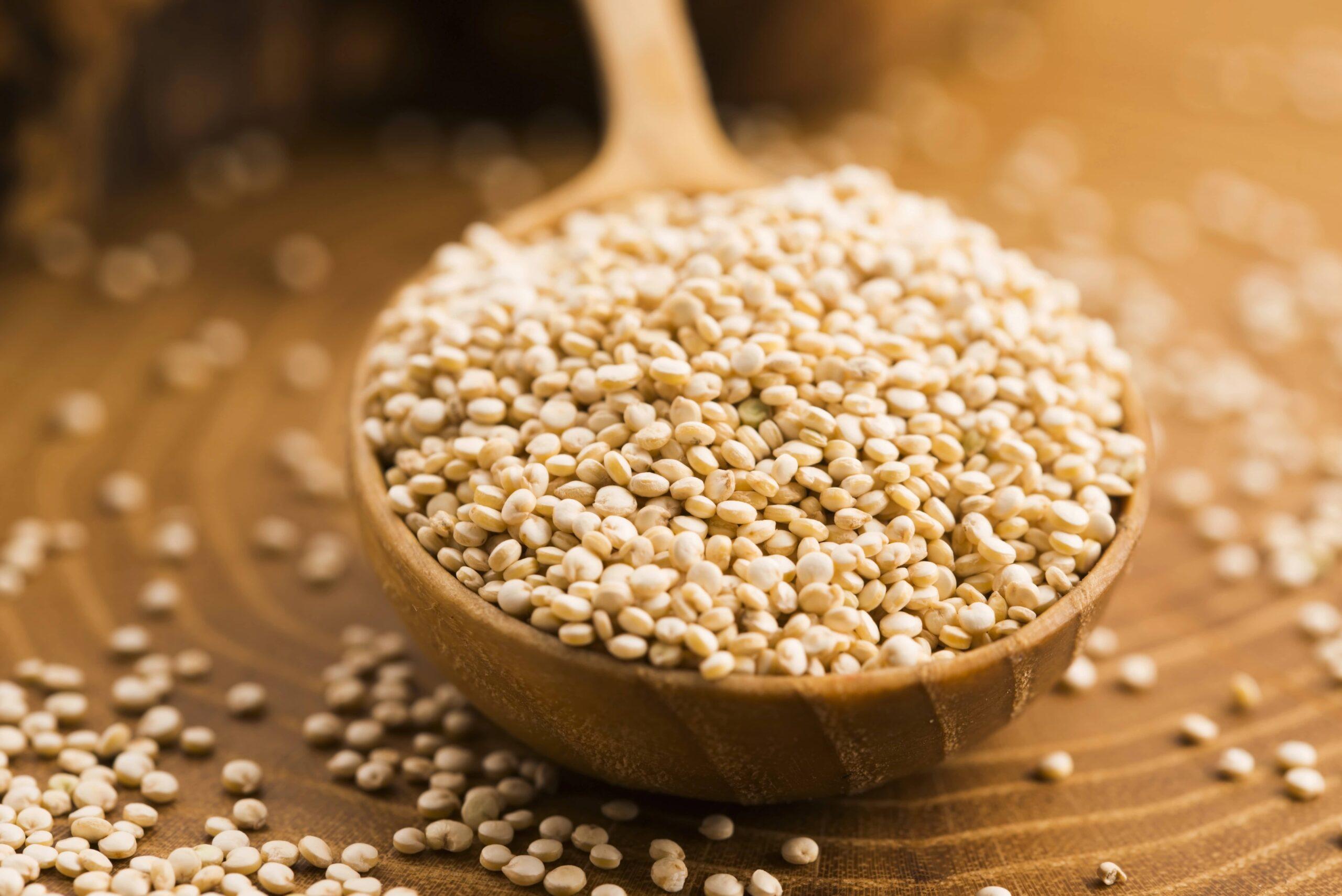quinoa